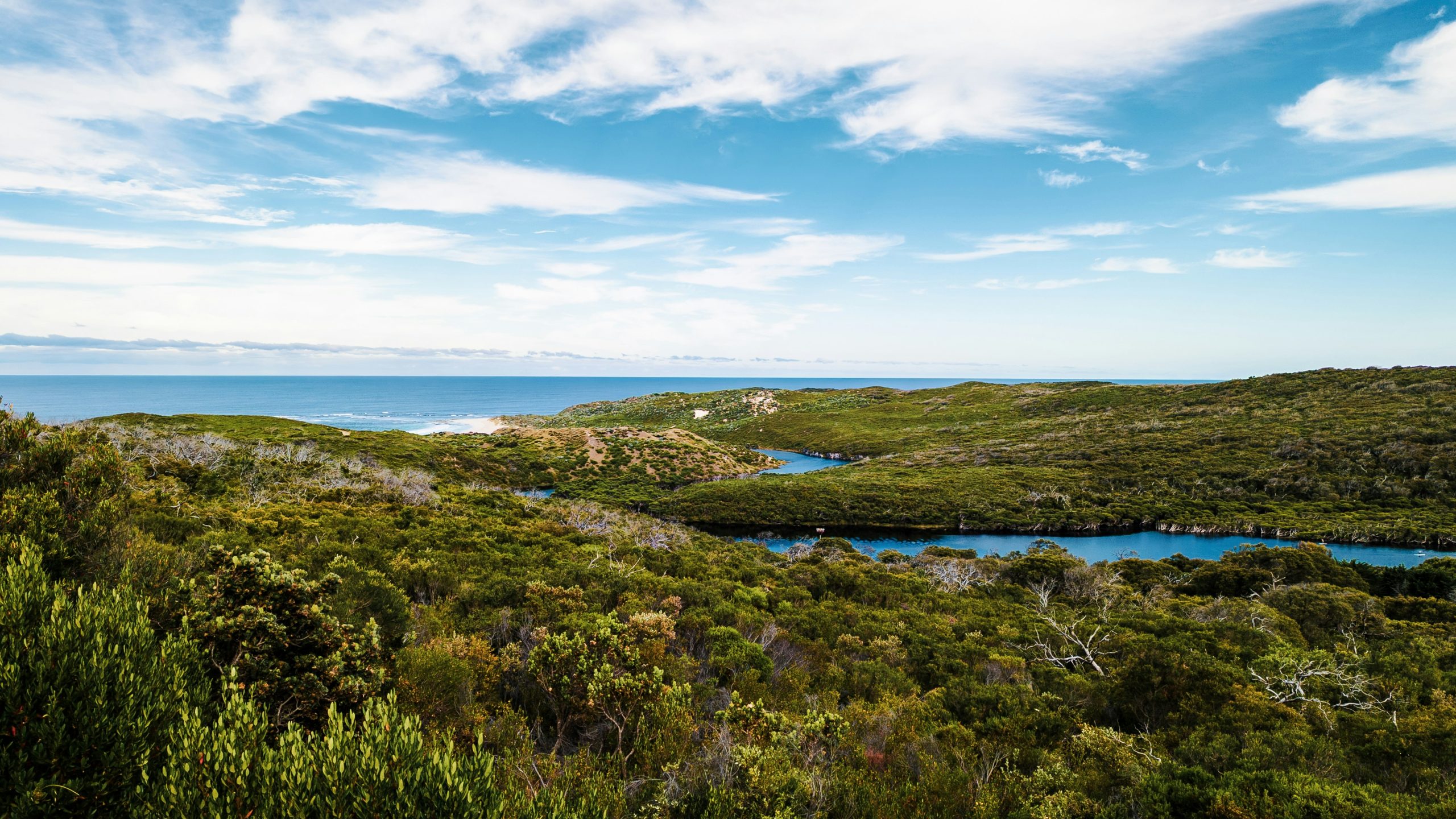 Margaret River Wine tour guide
