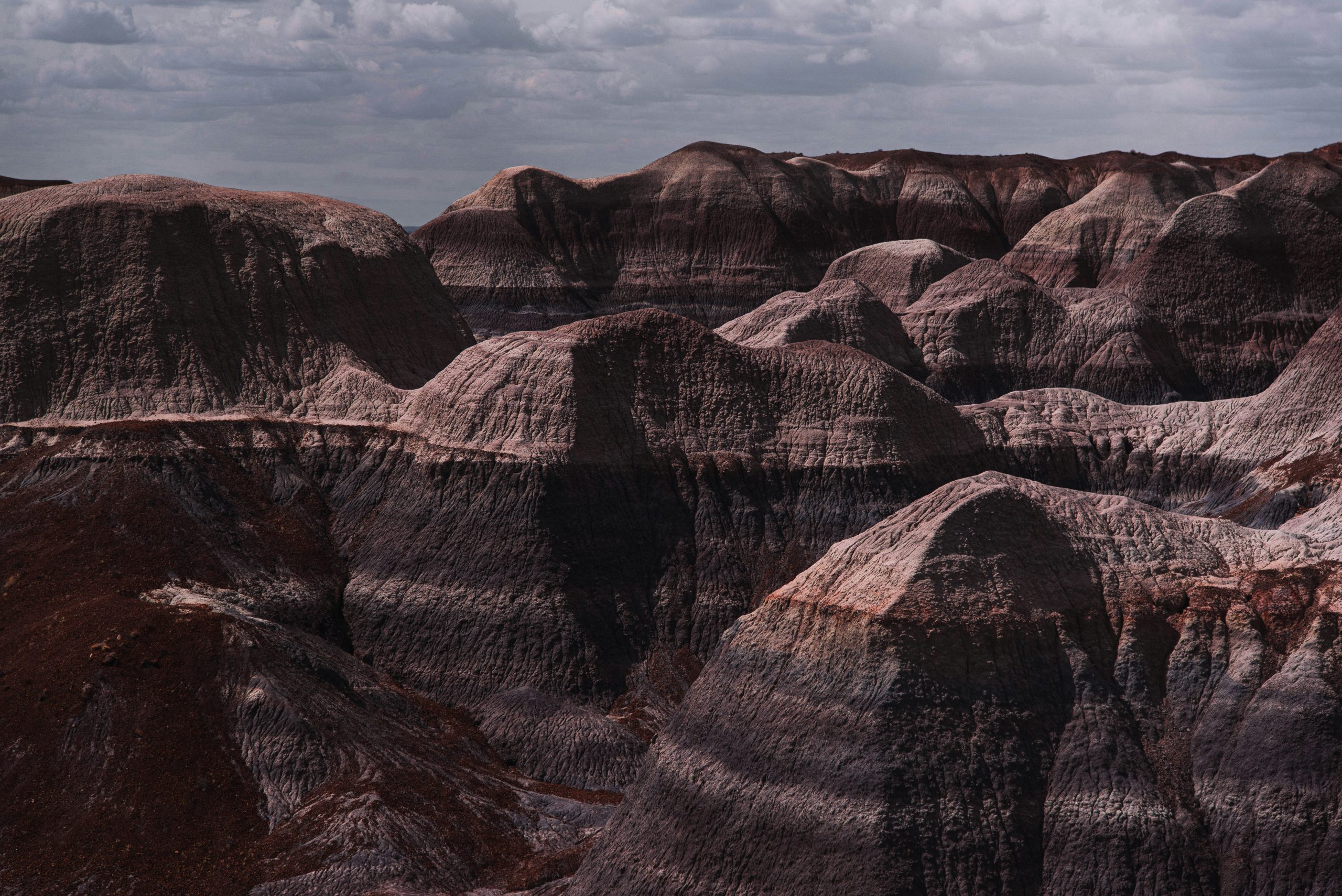 Painted Desert, Arizona