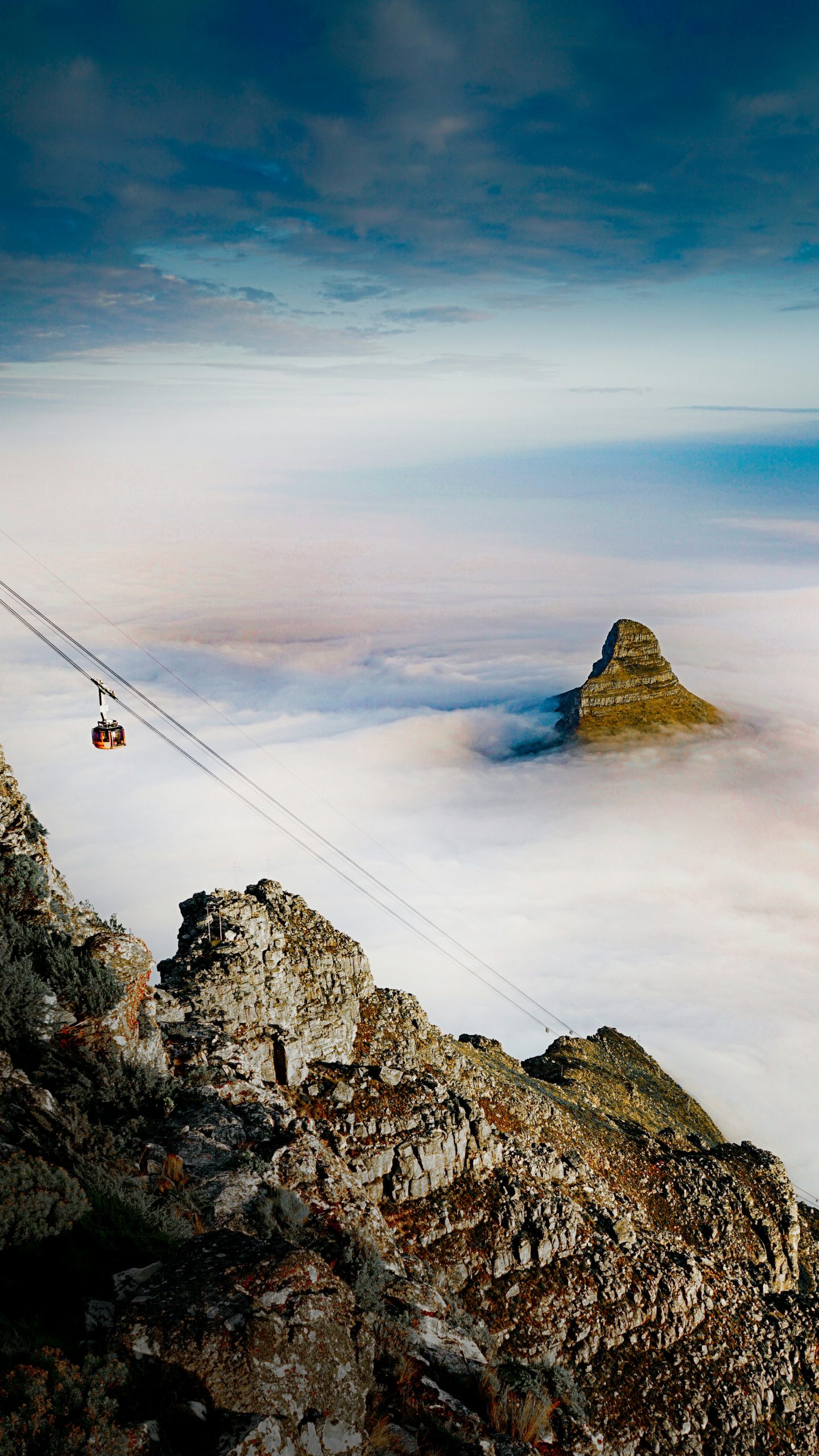 Cape Town Adventure Bucket List: 8 Thrilling Things to Do